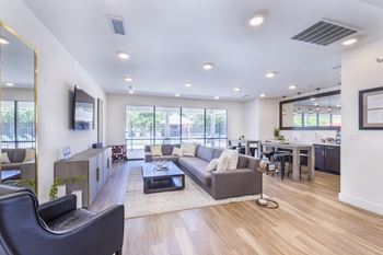 A modern living room with a grey sofa and a wooden floor.